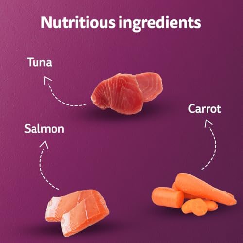 Image of Whiskas Tasty Mix Kitten (2-12 Months) Wet Cat Food, Seafood Cocktail Carrot Flavour in Gravy, 70 g, 100% Complete & Balanced Nutrition for Kittens