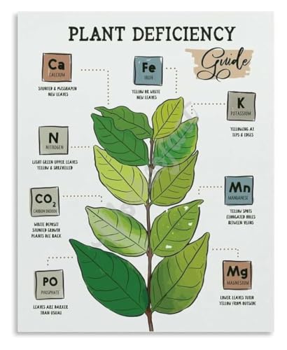 BOUZQRBQT Plant Nutrient Deficiency Guide Symptoms Chart Metal Sign Classroom
