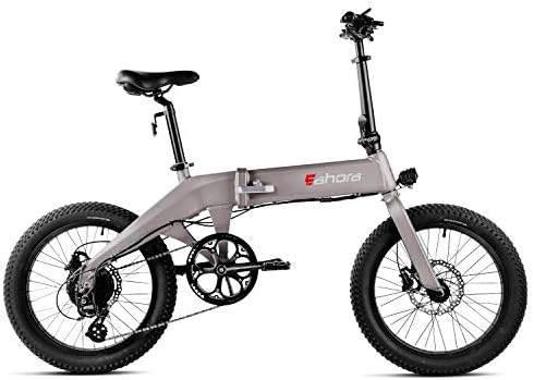Eahora XC100 Plus 26 inch Electric Mountain Bicycle 7 Speed E-Bike 48V 10.4Ah Lithium Battery 350W Electric Bike Max 80 Miles Adult Assisted E-Bike E-PAS Tech (Silver Gray)