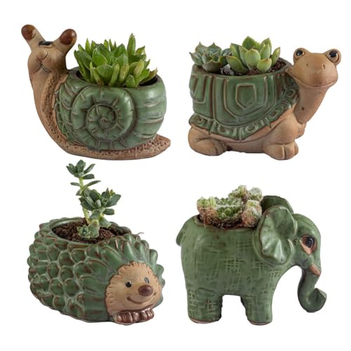 Pot animal en céramique avec drainage pour éviter l'excès d'eau - 5