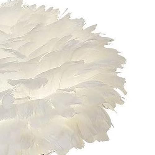 Migong Feather Lamp, Feather Led Table Lamp With Push Button Subdued Light, Feather Table Light Decorative Desk Bed Night Light Gold(Golden New) #TOP4