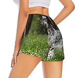 Zoom IMG-1 setter inglese animali da prato Zoom IMG-1 setter inglese animali da prato