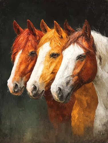 G , DIY Paint by Numbers for Adults n, G LoX yCgoCio[܂ ANyCg uV, hG K؂ l S, ƒItBX̕Ǒ, Mtg , 30x40c