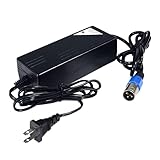 Uber Scuuter Plus Charger 48v