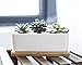 LANKER 6.5 Inch Rectangle White Ceramic Succulent Planter Pot Decorative Cactus Plant Pot Flower Container with Bamboo Tray (Rectangle 6.5 Inch)