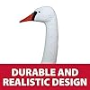 The Pond Guy Floating Swan Decoy Pair, Realistic Swimming Sculpture, Deterrent for Waterfowl like Geese, Ducks, & Wild Birds, For Pond, Lake, & Pool Use, Anchor with Weights or Lawn Decoration, 1 Pair