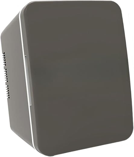 ILSMYSUTRA 4L Mini Fridge Multipurpose Beverage Refrigerator Cooler for Divers Dorm Rvs Gray | Major Appliances | Refriger...