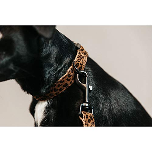Collier pour chiens avec clips pratiques et réglable 28-40cm léopard brun - 4