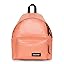 Glossy Peach
