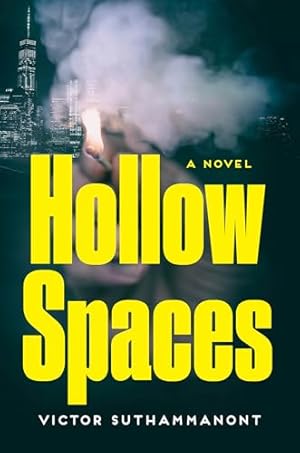 Hollow Spaces: A Novel