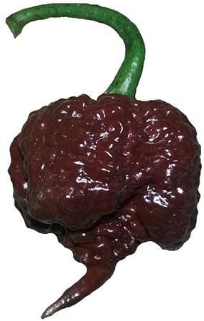 Chocolate Carolina Reaper HP22B Pepper Premium Seed Packet Record Hottest in The World + More