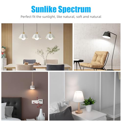 Realmoon SUN-A19-9W Full Spectrum Sun Light Bulb - A19 9W, Boosts Energy, Mood & Performance, Near-Perfect Color Rendering, Imitate Sunlight Indoors thumb #8