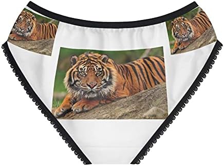 Sumatran Tiger Panties, Sumatran Tiger Underwear, Briefs, Cotton Briefs, Funny Underwear, Panties For Women