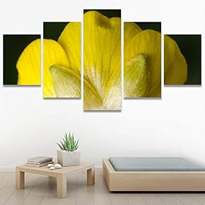 SIGNWIN 5 Panel Canvas Wall Art Yellow Petal...