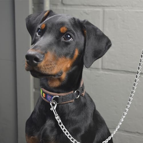 Filhome 4ft Metal Dog Leash with Leather Handle Heavy Duty Dog Chain Leash Chew Proof Sturdy Training Pet Lead for Large Medium Dogs Black