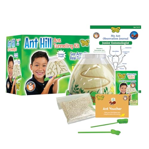 Insect Lore Ant Hill With Ants | Ant Kit | Redeem Voucher For Live Ants