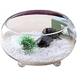 金魚鉢 ガラス 丸 テラリウムなの水槽。 金魚、メダカ、スリーキャッチ肥厚、円形透明金魚槽、リビングルーム小型家庭用デスクトップ亀水耕栽培金魚鉢 円柱 (透明,25cm)