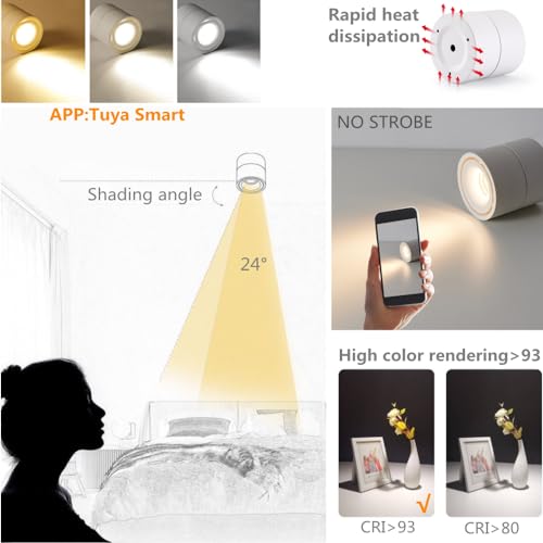 Image of LED 3CCT Dimmable Ceiling Spotlight Indoor 360Adjustable -Tuya Smart Life Surface Mounted 12W COB Directional Art Lighting-Hard Wired Ceiling Downlight for Mural Display Home Shop (White)