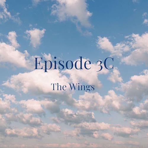 3C: The Wings