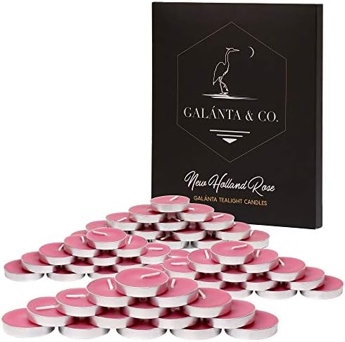 GALÁNTA & CO. Beeswax Tealight Candles Set (New Holland Rose Fragrance) Five Dozen Cups of Pure Bee Wax Blended with Australian Essential Oil 90 Minute Burn Time Per Pc