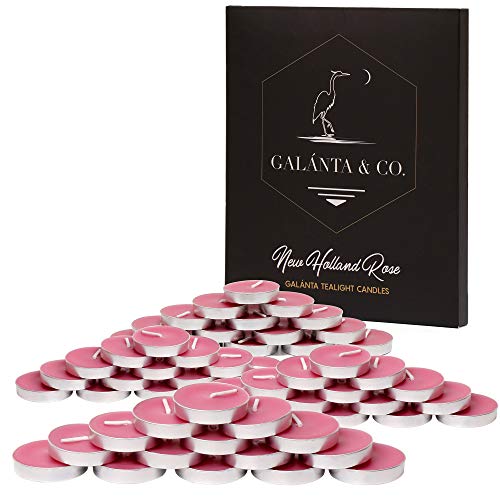 Galánta & Co. Beeswax Tealight Candles Set (New Holland Rose Fragrance) Five Dozen Cups Of Pure Bee Wax Blended With Australian Essential Oil 90 Minute Burn Time Per Pc #TOP1