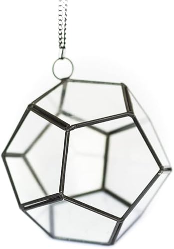 Miniatura 3 de Kit de terrario de bricolaje con plantas de aire, soporte de Tillandsia para plantas de aire, planta de interior y exterior de Tillandsia viva, al