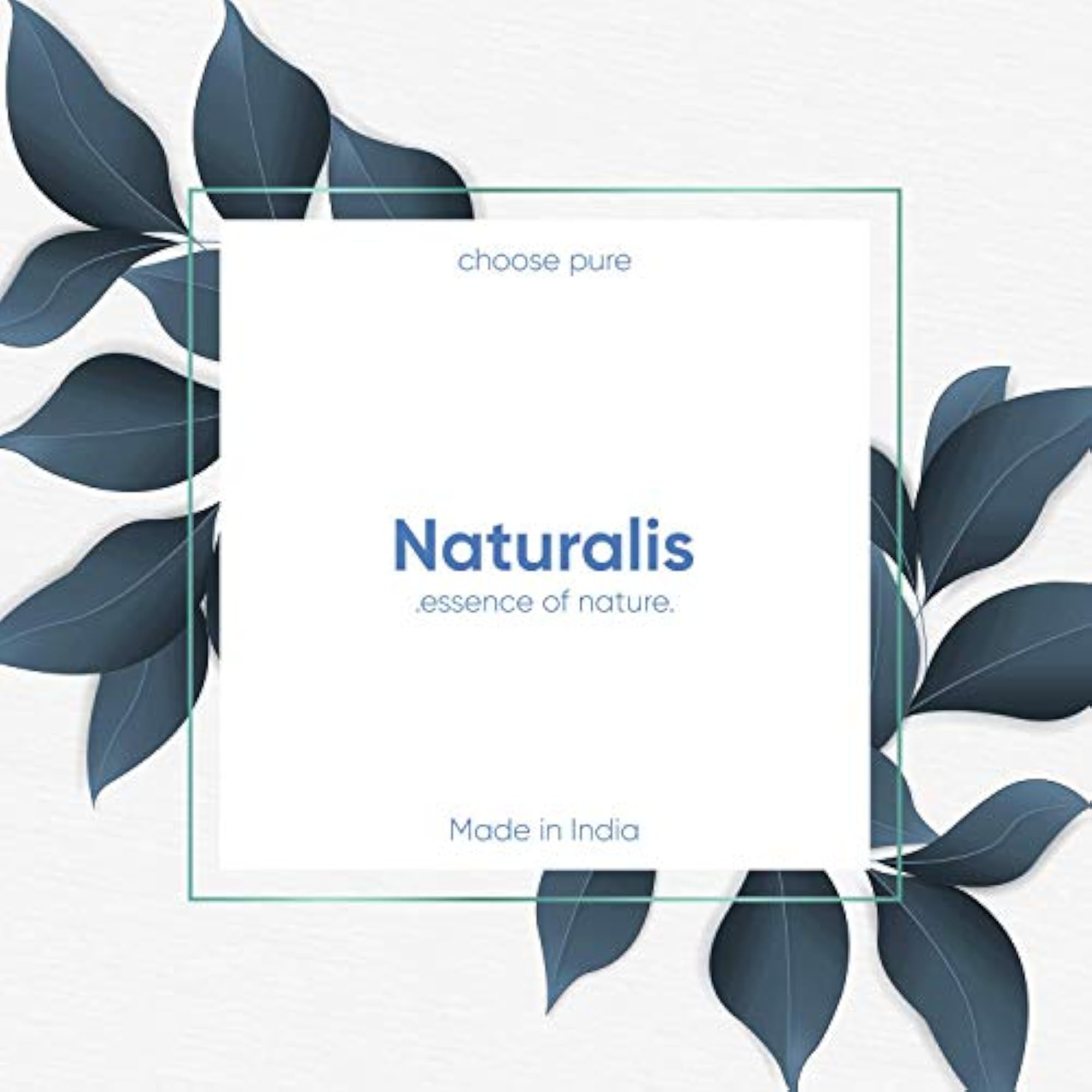 Naturalis Himalayan Pine Needle Essential Oil for Relaxation