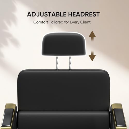 Image of Salon Chair for Hair Stylist, Barber Chair with Heavy Duty Hydraulic Pump, Stylist Chair for Barbershop, Silla de Barberia 360 Degrees Rolling Swivel Spa Beauty Equipment for Hair Stylist, Black /Gold