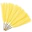 A Bright Light Yellow