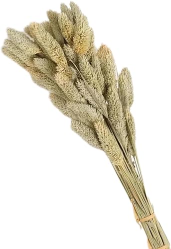 Ramo de flores secas 50 piezas beige para decoración miniatura 4