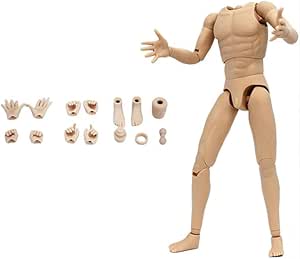 Amazon.com: 1/6 Scale Male Body,Male Flexible Muscular Nude Action