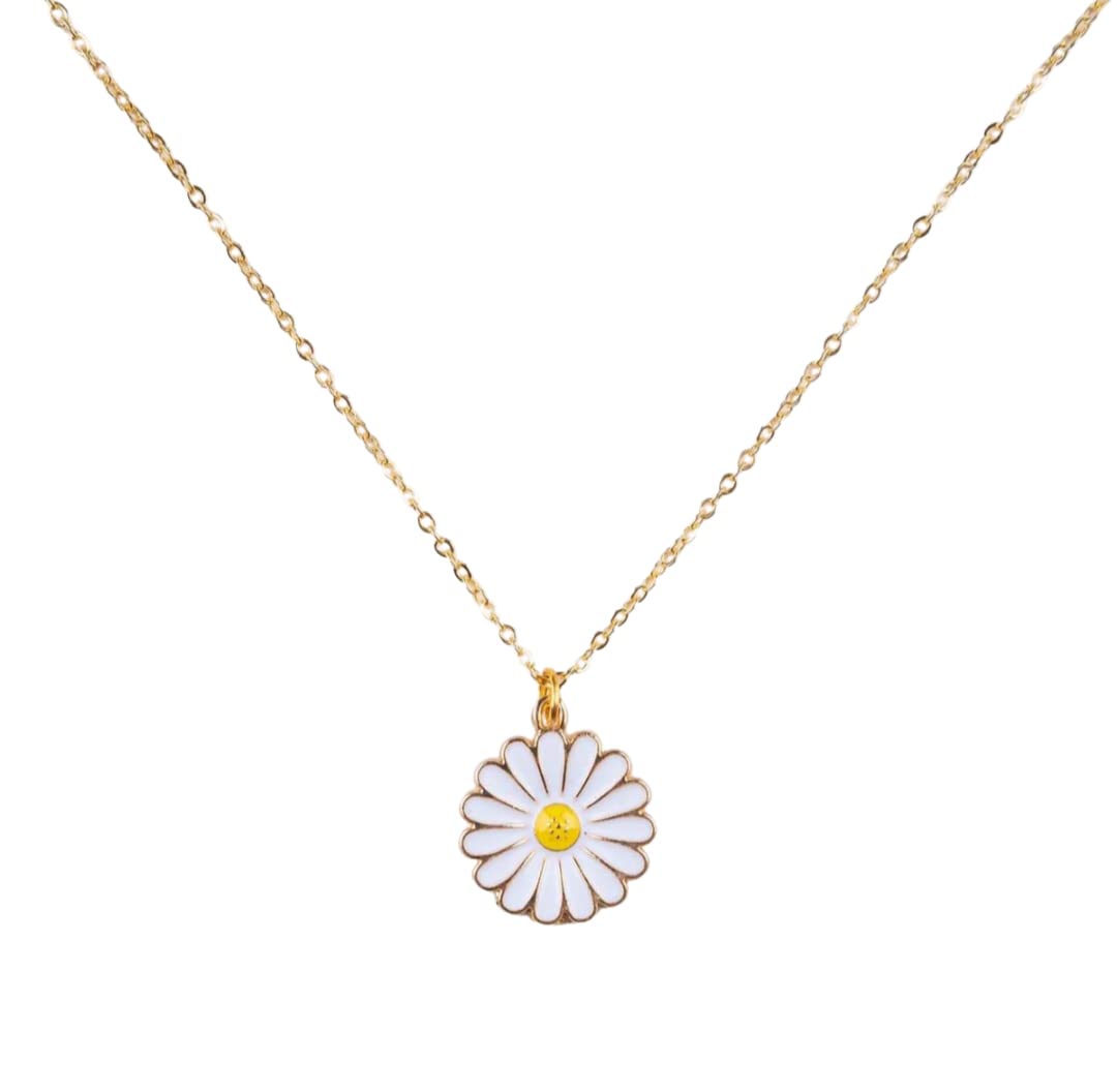 See full amazon price history chart for HADIE Daisy Necklace for Girls Women Pretty Flower Charm Pendant Chain (White) HADIE Daisy Necklace for Girls Women Pretty Flower Charm Pendant Chain (White) (B0B25KG1D6) Amazon Price History, Amazon Price Tracker