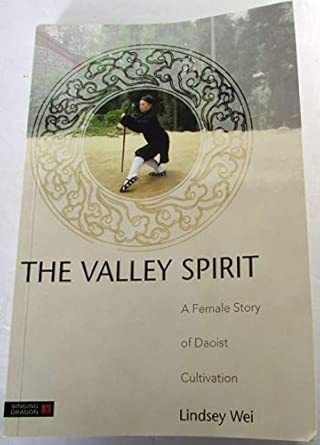 The Valley Spirit 2nd Edition book cover