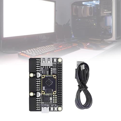 Carte de developpement GW5A 25K avec RISCV et SDRAM 64Mbit - 2