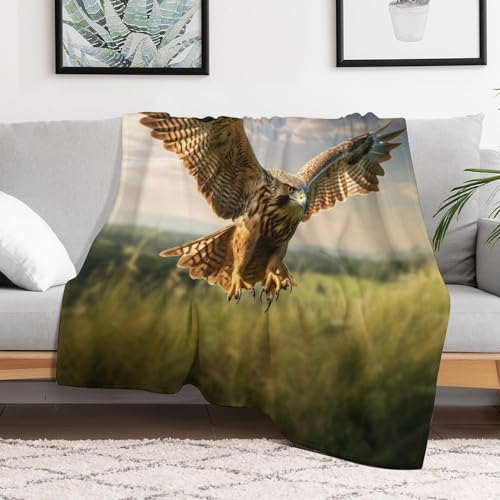 Couverture polaire anti-froid en flanelle douce pour canapés