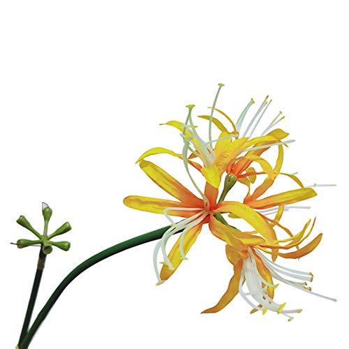 Image of 6 Stems 26.38 Inch Artificial Lycoris Radiata Spider Lily Flowers for Home Garden Decoration (Green)