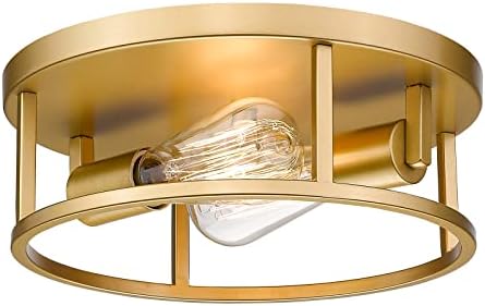 HANASS Gold Flush Mount Light Fixture, 12 inch Modern Ceiling Light in Metal Gold Finish, 2-Light Flush Mount Ceiling Light for Living Room Kitchen Dining Room Bedrooms Foyer Hallways, MX99992