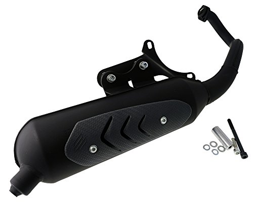Polini Auspuffanlage für Gilera Runner 50