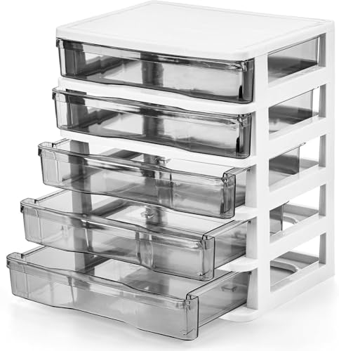 DEAYOU 5 Drawer Desktop Storage Bin Unit Small Plastic Organizer White Frame with Clear Drawer Mini Container Case for Desk Storing Craft Accessory Stationery