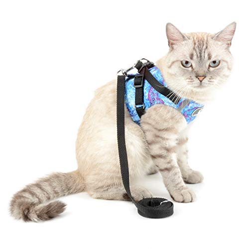 SELMAI Printing Cat Harness and Leash Escape Proof Reflective No Pull Padded Vest for Puppy Small Dogs Lead for Kitten Walking Jacket Easy on Step in Vest Harness Cotton Soft Material Blue XL