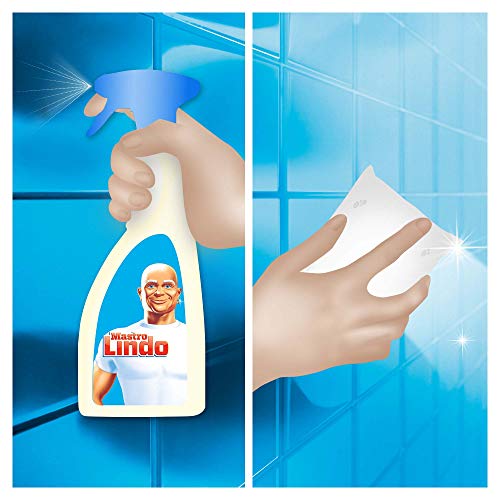 Mastro Lindo Detergente Spray Bagno, 500ml