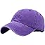 Purple Pigment Dyed