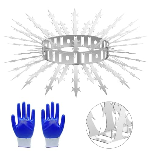 Bird Spikes for Outside 5 Pack 3.2 FT Stainless Steel Deter Pigeon Squirrel