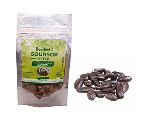 Soursop Services - Soursop seeds (Pack of 100 seeds) (B097YJT7KP) Amazon Price History, Amazon Price Tracker