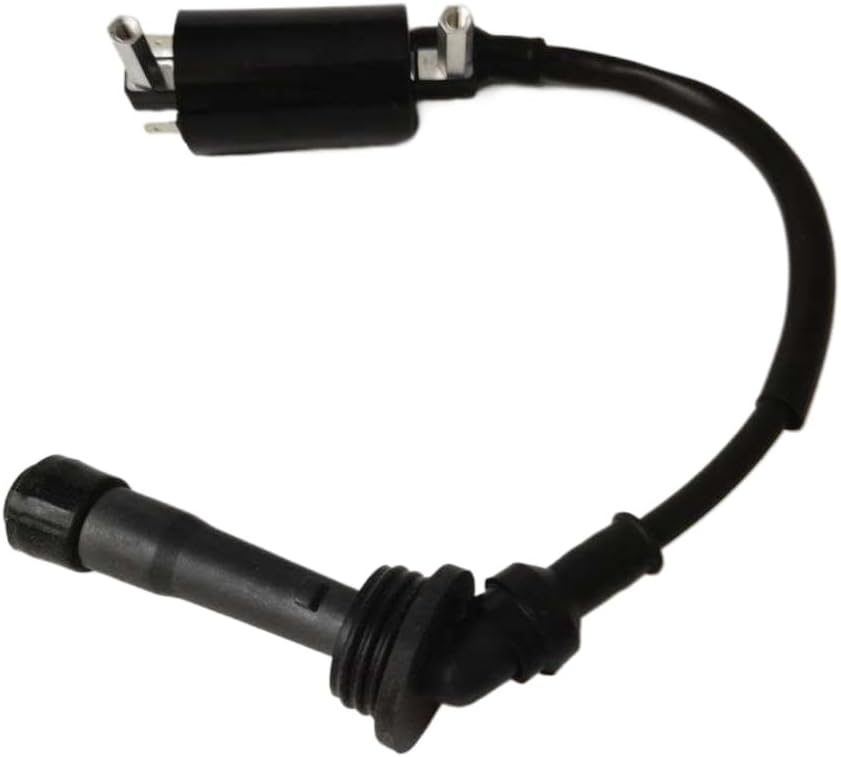 シングルシリンダーエンジンモーターサイクルと互換性のあるイグニッションコイルTNT25 BN251 TRK251