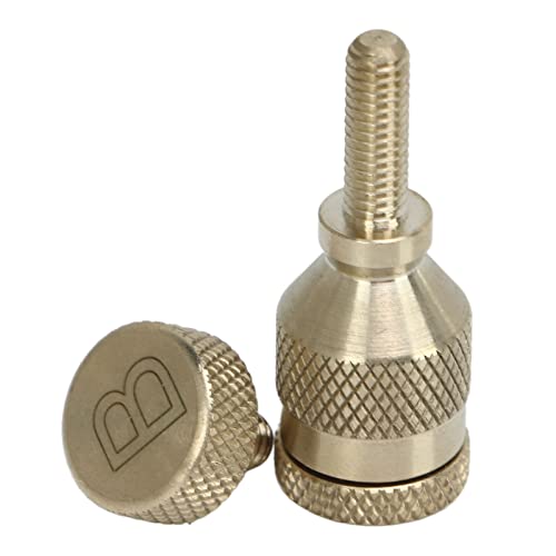 Parafuso Saxofone, 2 peças 4 mm Saxofone Metal Parafuso Curvo Sax Pescoço Parafusos de Aperto Instru