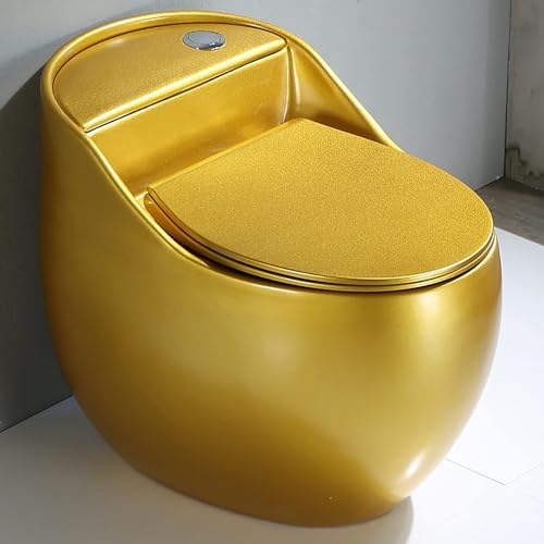 Inodoro One Piece Doble Descarga con Asiento de Cierre Suave, Altura Universal Moderna para Confort, Inodoro Cerámico Sifónico Dorado Silencioso para Baño en Casa y Hotel, A-66x43x55cm miniatura 2