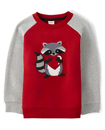Gymboree Boys' and Toddler Embroidered Pullover Crew Neck Sweatshirt