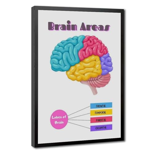 Poster DBT fonctions du lobe du cerveau en toile pour comprendre la psychologie