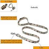 Hundehalsband Mit Leine, Nylon Reflektierend Atmungsaktiv Einstellbar, Welpenhalsband, Hundeleine Für Kleine Hunde Leicht Verstellbar Mit Gepolstert-S